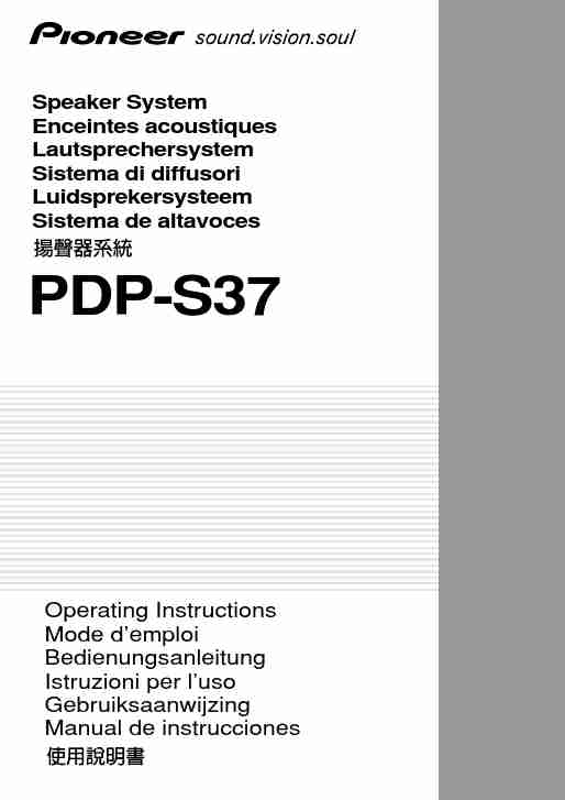 Pioneer Speaker System PDP-S37-page_pdf
